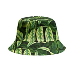 Leaves Foliage Twig Bush Plant Bucket Hat by artworkshop