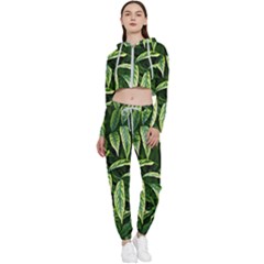 Leaves Foliage Twig Bush Plant Cropped Zip Up Lounge Set by artworkshop