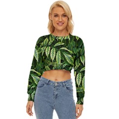 Leaves Foliage Twig Bush Plant Lightweight Long Sleeve Sweatshirt by artworkshop