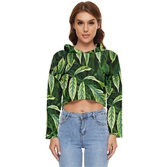 Leaves Foliage Twig Bush Plant Women s Lightweight Cropped Hoodie by artworkshop