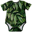 Leaves Foliage Twig Bush Plant Baby Short Sleeve Onesie Bodysuit View1