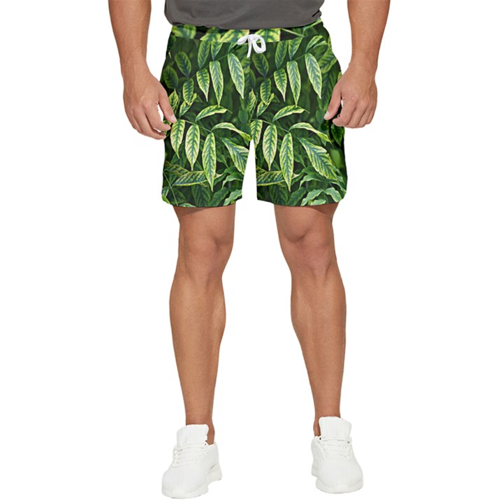 Leaves Foliage Twig Bush Plant Men s Runner Shorts