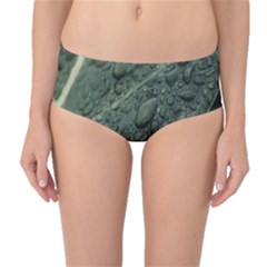 Leaves Water Drops Green  Mid-waist Bikini Bottoms by artworkshop