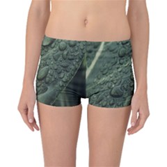 Leaves Water Drops Green  Boyleg Bikini Bottoms by artworkshop