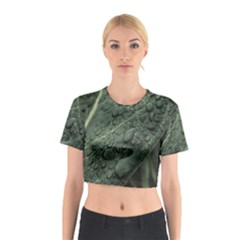 Leaves Water Drops Green  Cotton Crop Top by artworkshop