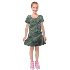 Leaves Water Drops Green  Kids  Short Sleeve Velvet Dress by artworkshop