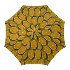 Orange Slices Cross Sections Pattern Golf Umbrellas by artworkshop