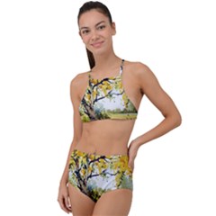 Landscape Painting Meadow Garden High Waist Tankini Set by Wegoenart