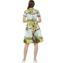 Landscape Painting Meadow Garden Short Sleeve Waist Detail Dress View2