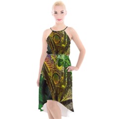 Chameleon Reptile Lizard Animal High-low Halter Chiffon Dress  by Wegoenart