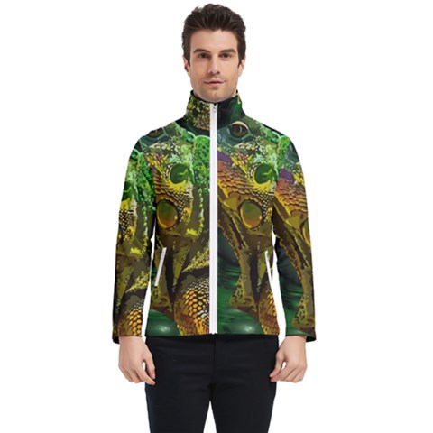 Chameleon Reptile Lizard Animal Men s Bomber Jacket by Wegoenart