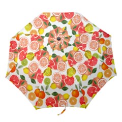 Citrus Fruit Seamless Pattern Folding Umbrellas by Wegoenart