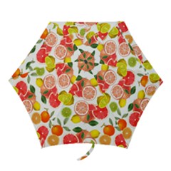 Citrus Fruit Seamless Pattern Mini Folding Umbrellas by Wegoenart