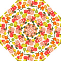 Citrus Fruit Seamless Pattern Hook Handle Umbrellas (small) by Wegoenart