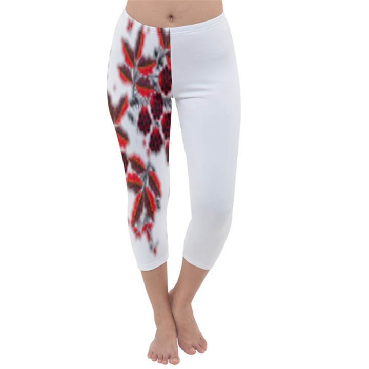 IM Fourth Dimension Colour 32 Capri Winter Leggings 