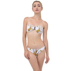 Im Fourth Dimension Colour 47 Classic Bandeau Bikini Set by imanmulyana