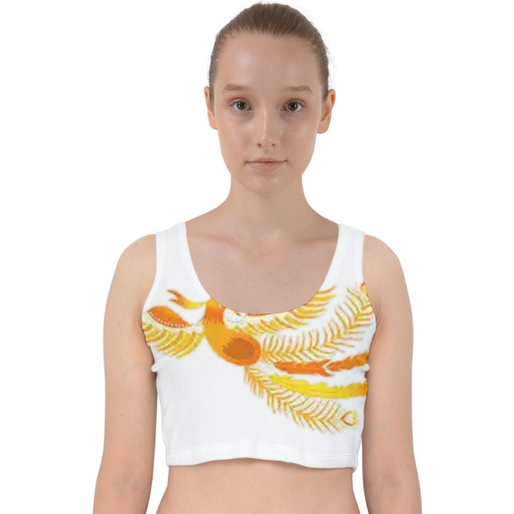 IM Fourth Dimension Colour 49 Velvet Racer Back Crop Top