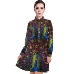 Beautiful Peacock Feather Long Sleeve Chiffon Shirt Dress