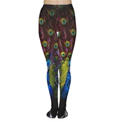 Beautiful Peacock Feather Tights