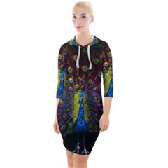 Beautiful Peacock Feather Quarter Sleeve Hood Bodycon Dress