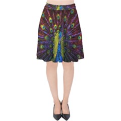 Beautiful Peacock Feather Velvet High Waist Skirt