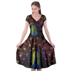 Beautiful Peacock Feather Cap Sleeve Wrap Front Dress