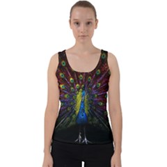 Beautiful Peacock Feather Velvet Tank Top