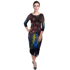 Beautiful Peacock Feather Quarter Sleeve Midi Velour Bodycon Dress