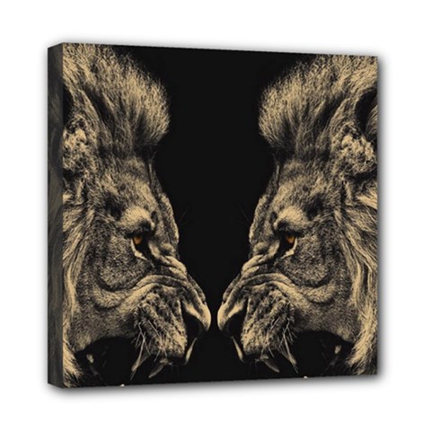 Animalsangry Male Lions Conflict Mini Canvas 8  X 8  (stretched) by Jancukart