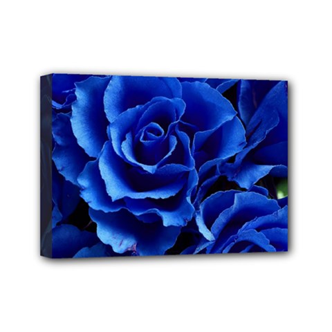 Blue Roses Flowers Plant Romance Mini Canvas 7  X 5  (stretched) by Wegoenart