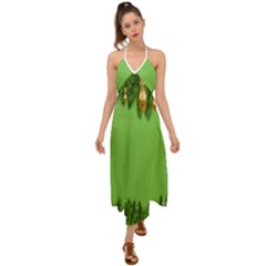 New-year-green Halter Tie Back Dress  by nateshop