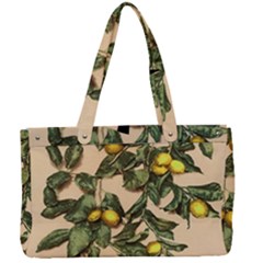 A Vintage Bunch Of Lemons Canvas Work Bag by ConteMonfrey