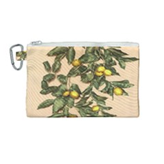 A Vintage Bunch Of Lemons Canvas Cosmetic Bag (medium) by ConteMonfrey