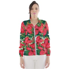 Tulips Design Women s Windbreaker by designsbymallika