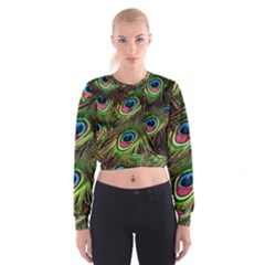 Peacock Feathers Color Plumage Cropped Sweatshirt by Celenk