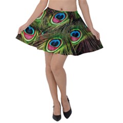 Peacock Feathers Color Plumage Velvet Skater Skirt by Celenk