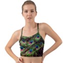 Peacock Feathers Color Plumage Mini Tank Bikini Top View1