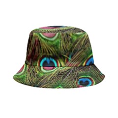 Peacock Feathers Color Plumage Bucket Hat