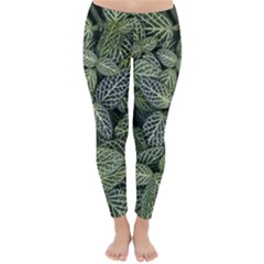 Leaves Foliage Botany Plant Classic Winter Leggings by Ravend