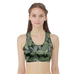 Leaves Foliage Botany Plant Sports Bra With Border by Ravend