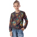 Peacock Feathers Kids  Long Sleeve Tee with Frill  View1