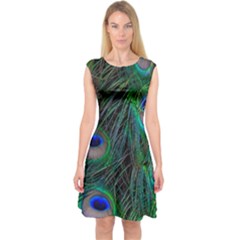 Beautiful Peacock Feathers Capsleeve Midi Dress by Ravend