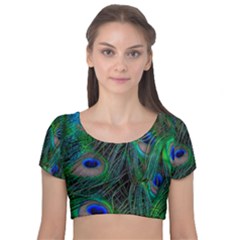 Beautiful Peacock Feathers Velvet Short Sleeve Crop Top 