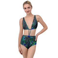 Beautiful Peacock Feathers Tied Up Two Piece Swimsuit by Ravend