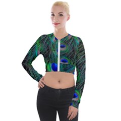 Beautiful Peacock Feathers Long Sleeve Cropped Velvet Jacket by Ravend