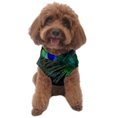 Beautiful Peacock Feathers Dog Sweater by Ravend