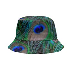 Beautiful Peacock Feathers Bucket Hat by Ravend