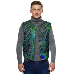 Beautiful Peacock Feathers Men s Short Button Up Puffer Vest	 by Ravend