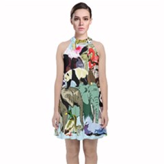 Zoo-animals-peacock-lion-hippo- Velvet Halter Neckline Dress 