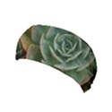 Green Orchid Plant Pattern Yoga Headband View1